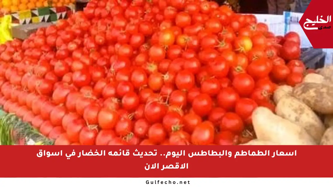 أسعار الطماطم والبطاطس اليوم.. تحديث قائمة الخضار في أسواق الأقصر الآن